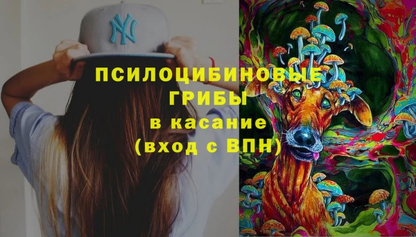 соль ск Дмитровск