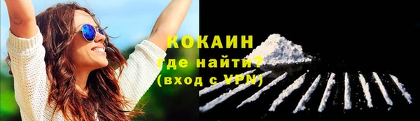 соль ск Дмитровск