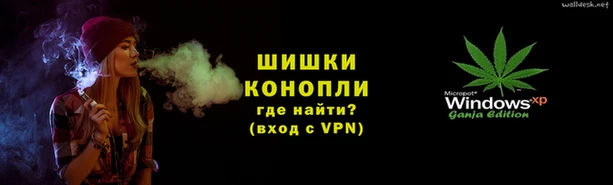 ПСИЛОЦИБИНОВЫЕ ГРИБЫ Дмитров