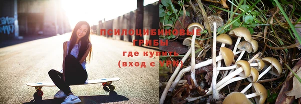 ПСИЛОЦИБИНОВЫЕ ГРИБЫ Дмитров