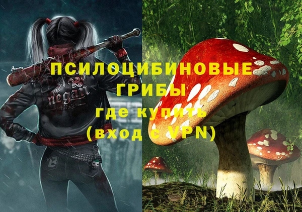 скорость Дмитриев