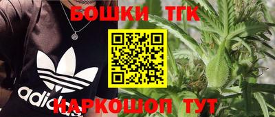тгк Гатчина