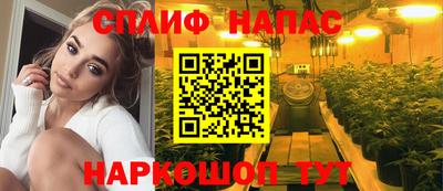 мдпв Гай