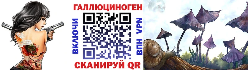 Галлюциногенные грибы GOLDEN TEACHER  Сальск 